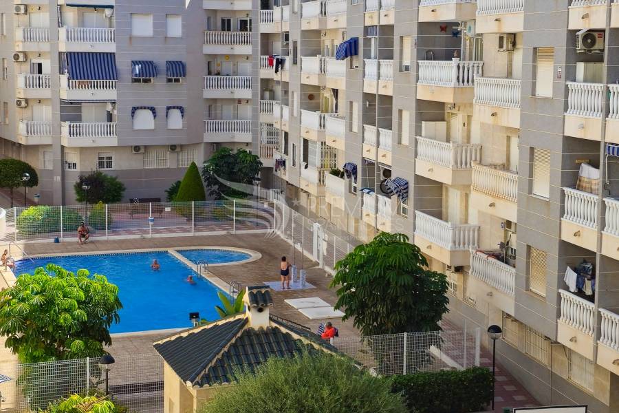 Sale - Apartment - Torrevieja - Centro